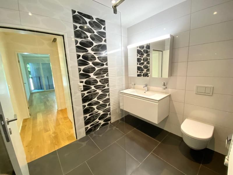 Flat in Wipkingen, 65m2 (4)