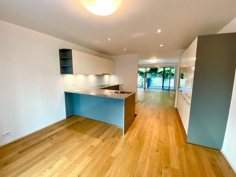 Flat in Wipkingen, 65m2 (2)