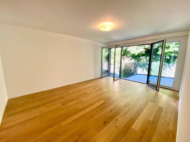 Flat in Wipkingen, 65m2 (1)