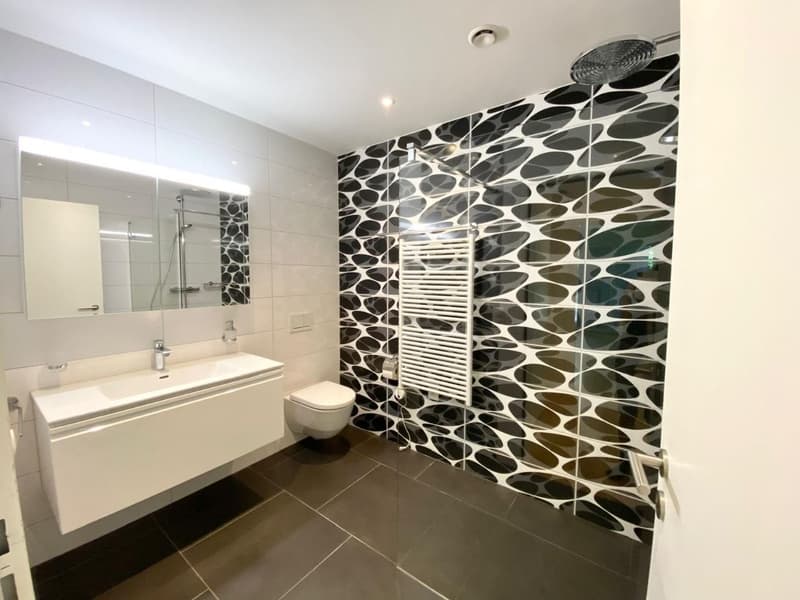 Flat in Wipkingen, 65m2 (3)