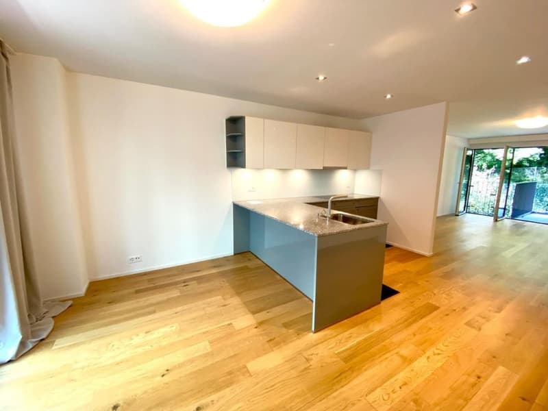 Flat in Wipkingen, 65m2 (8)