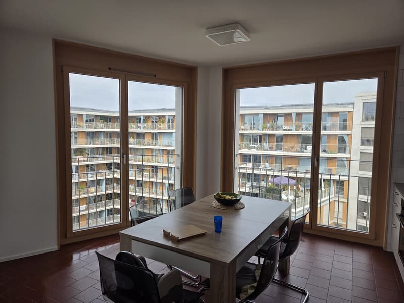Appartement 4 ½ pièces, 1018 Lausanne (7)