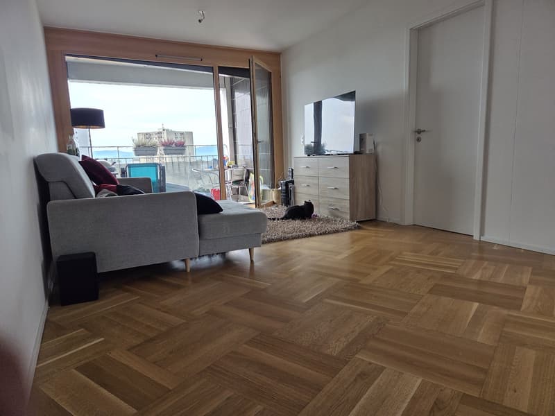 Appartement 4 ½ pièces, 1018 Lausanne (6)
