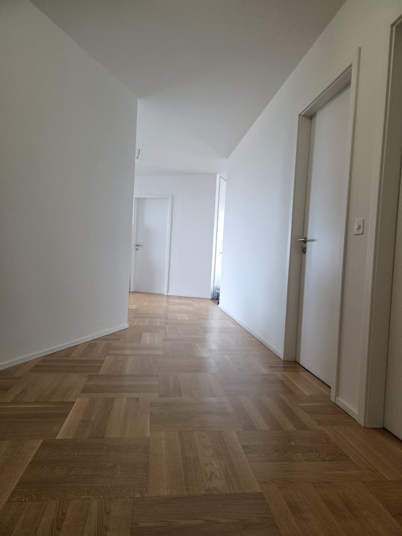Appartement 4 ½ pièces, 1018 Lausanne (1)