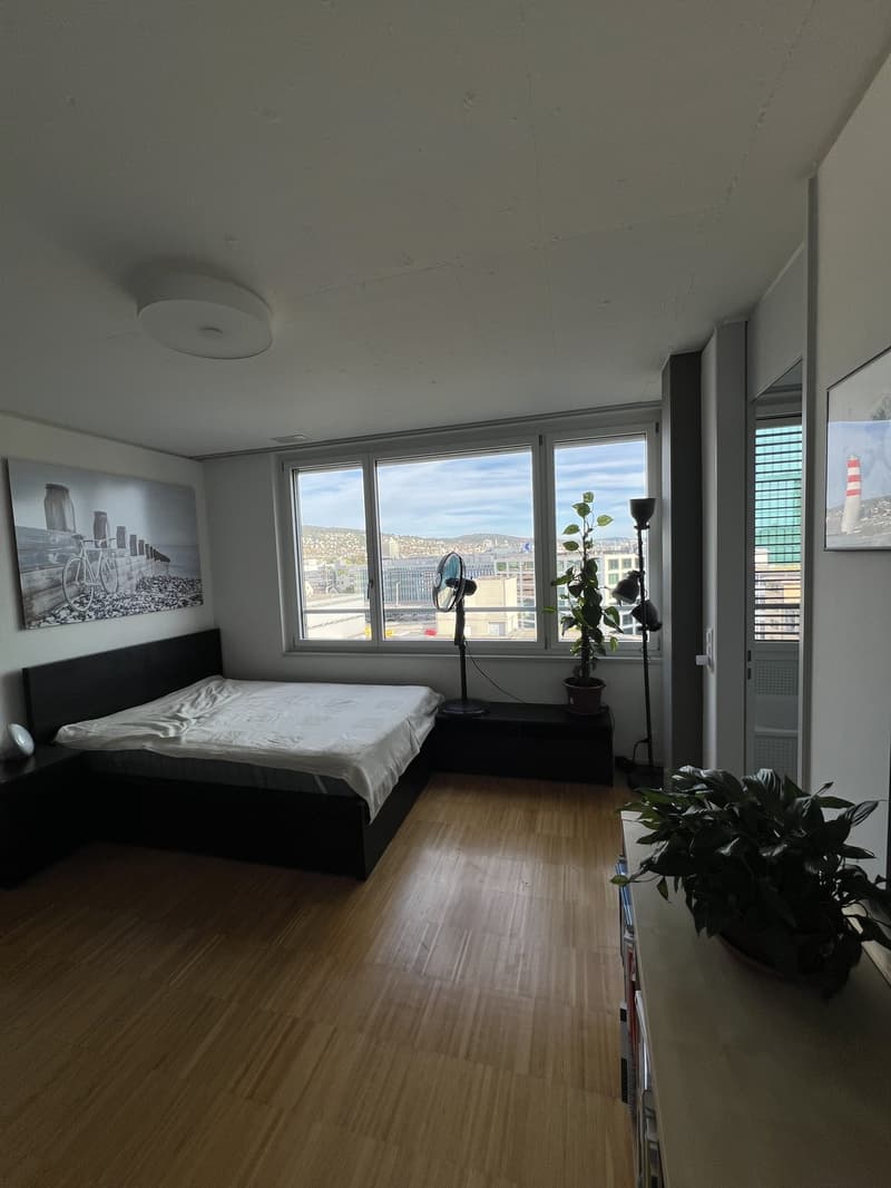 Shared Flat Looking for a new temporary Flatmate (25+) in amazing Location (2)