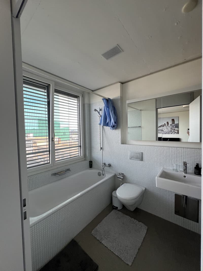 Shared Flat Looking for a new temporary Flatmate (25+) in amazing Location (4)