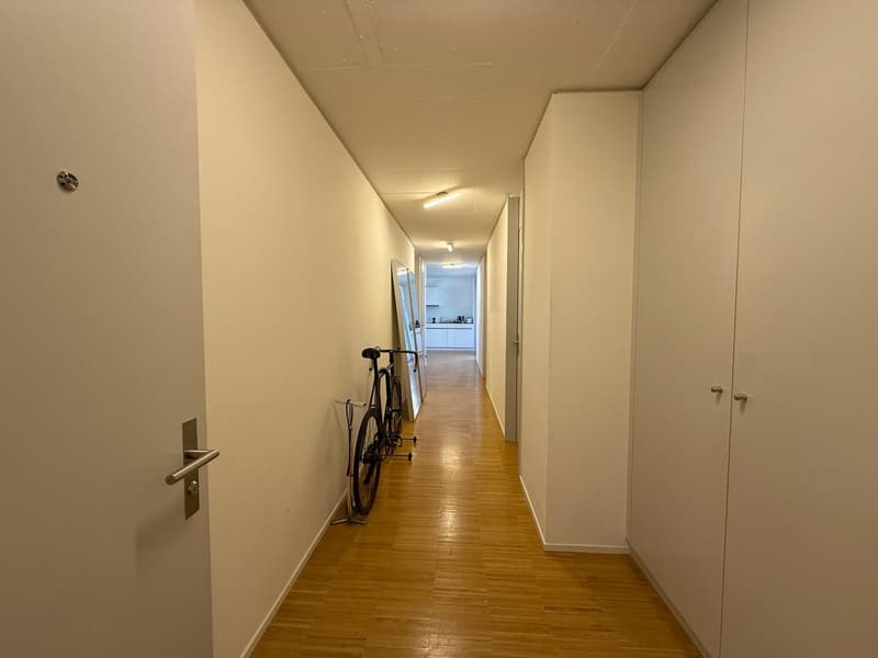 Shared Flat Looking for a new temporary Flatmate (25+) in amazing Location (5)