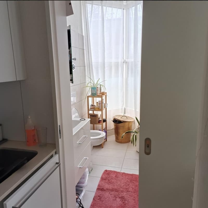 1 ½ Zimmer-Wohnung, Tösstalstrasse 163, 8400 Winterthur (2)