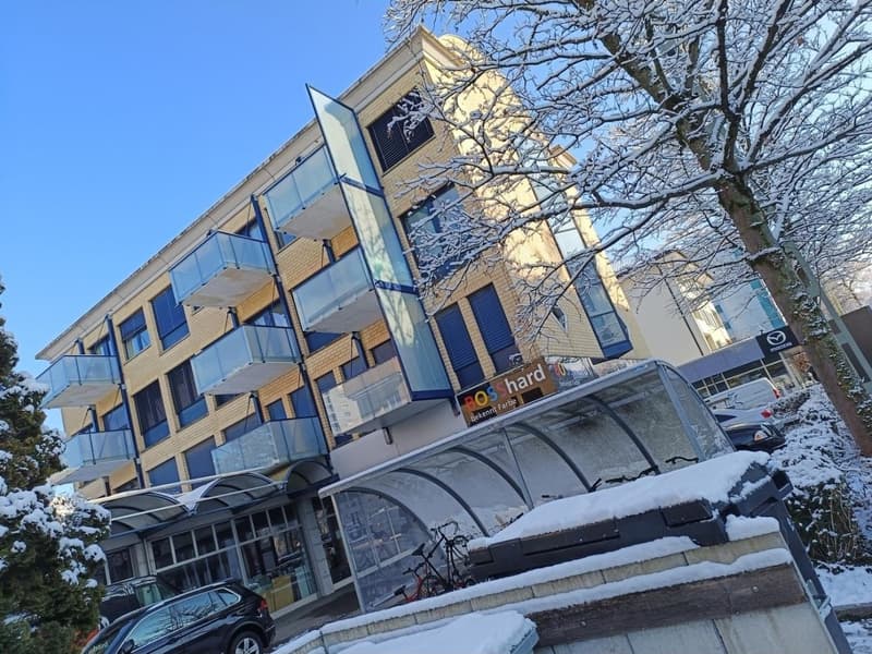 1 ½ Zimmer-Wohnung, Tösstalstrasse 163, 8400 Winterthur (6)