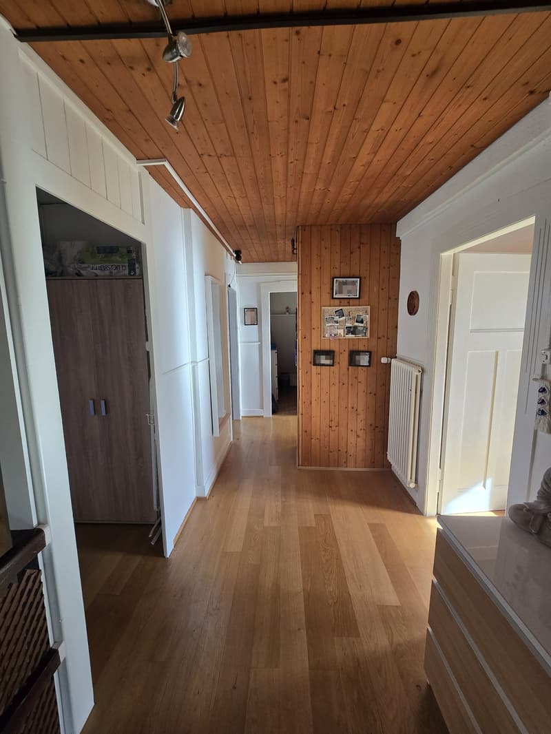 2-Zimmer-Altbauwohnung in Allschwil (11)