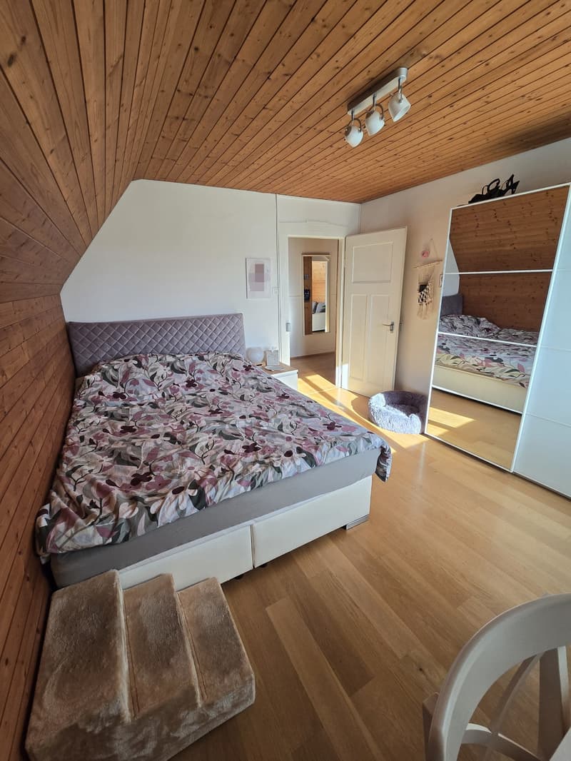 2-Zimmer-Altbauwohnung in Allschwil (3)