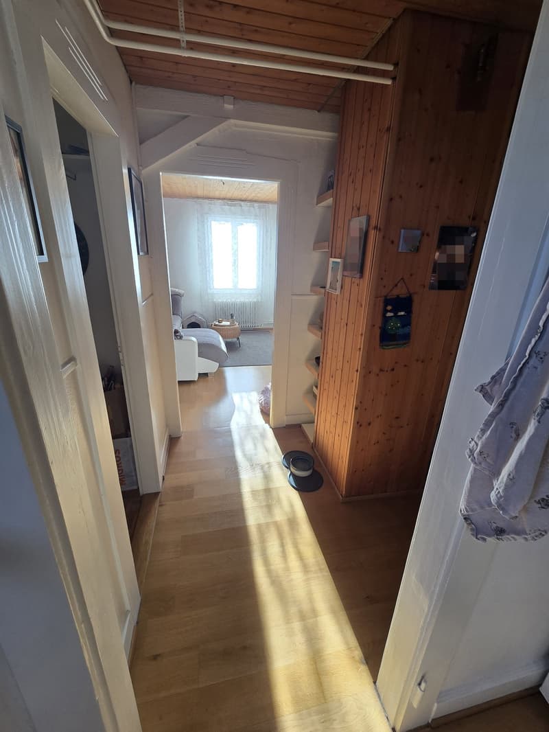 2-Zimmer-Altbauwohnung in Allschwil (12)