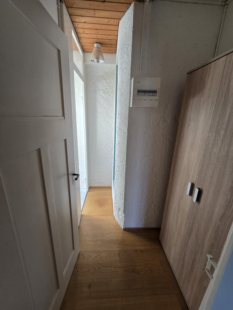 2-Zimmer-Altbauwohnung in Allschwil (8)