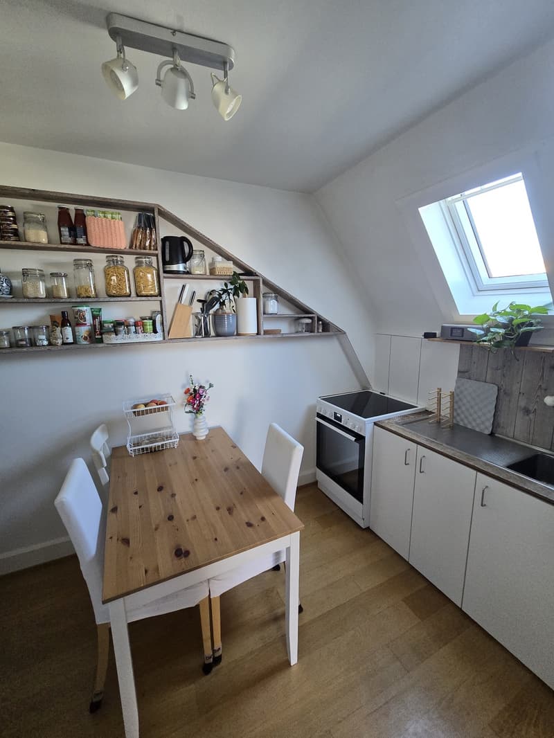 2-Zimmer-Altbauwohnung in Allschwil (5)