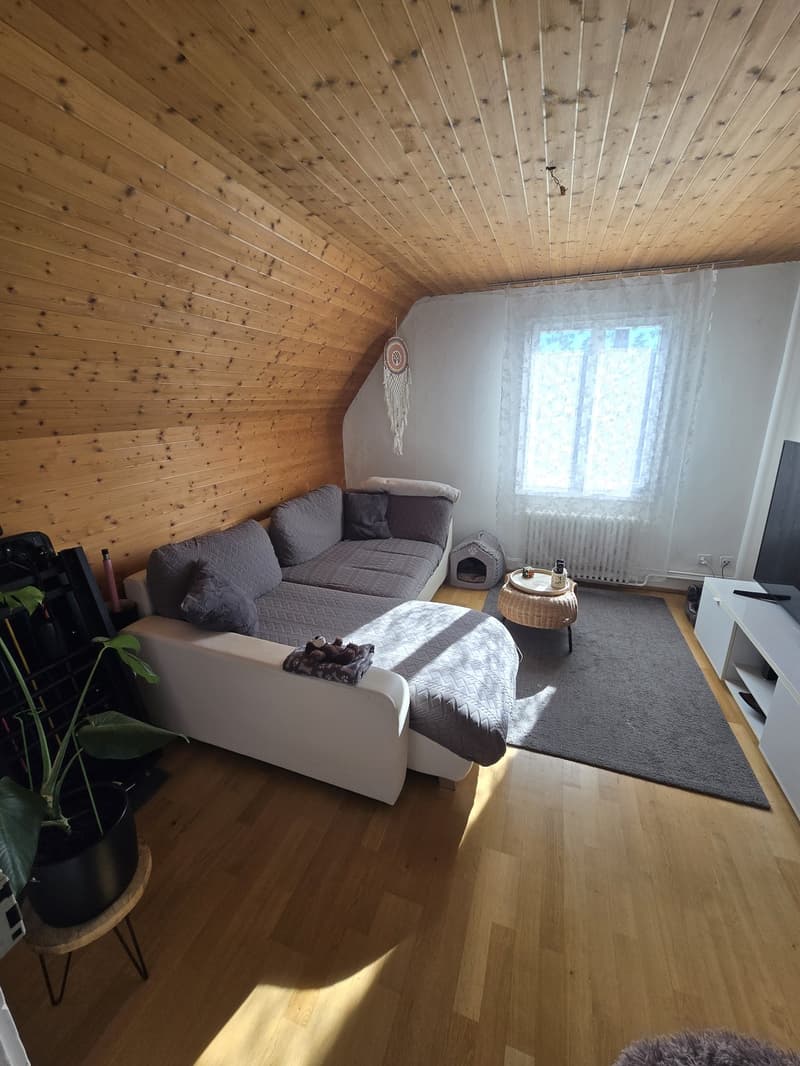 2-Zimmer-Altbauwohnung in Allschwil (2)