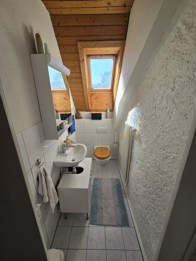 2-Zimmer-Altbauwohnung in Allschwil (7)