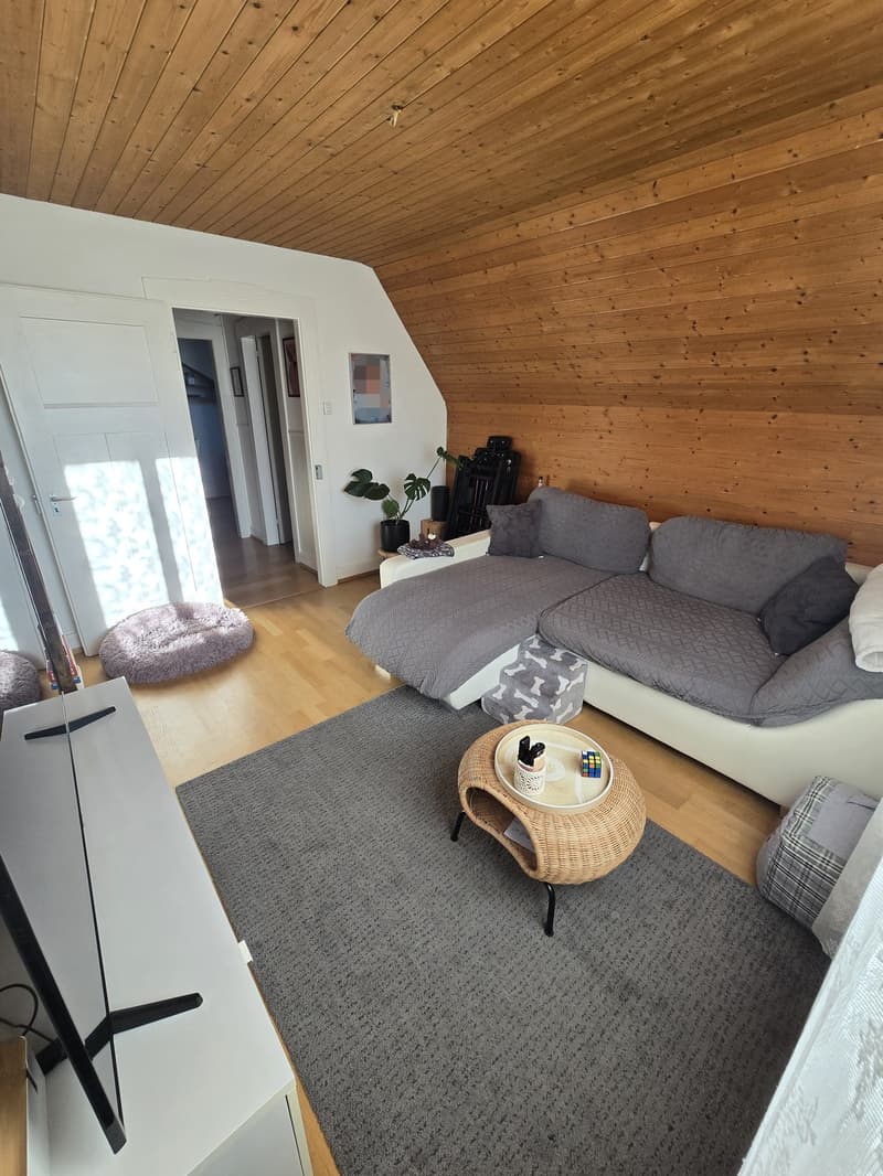 2-Zimmer-Altbauwohnung in Allschwil (1)