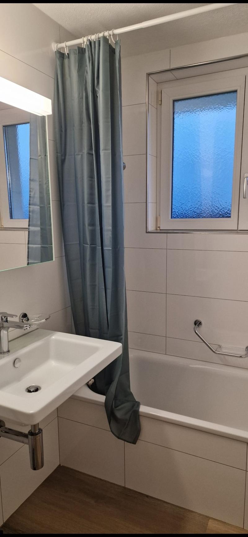 Moderne 4.5 Zimmer Wohnung mit 2 Balkonen und See&Bergblick (8)