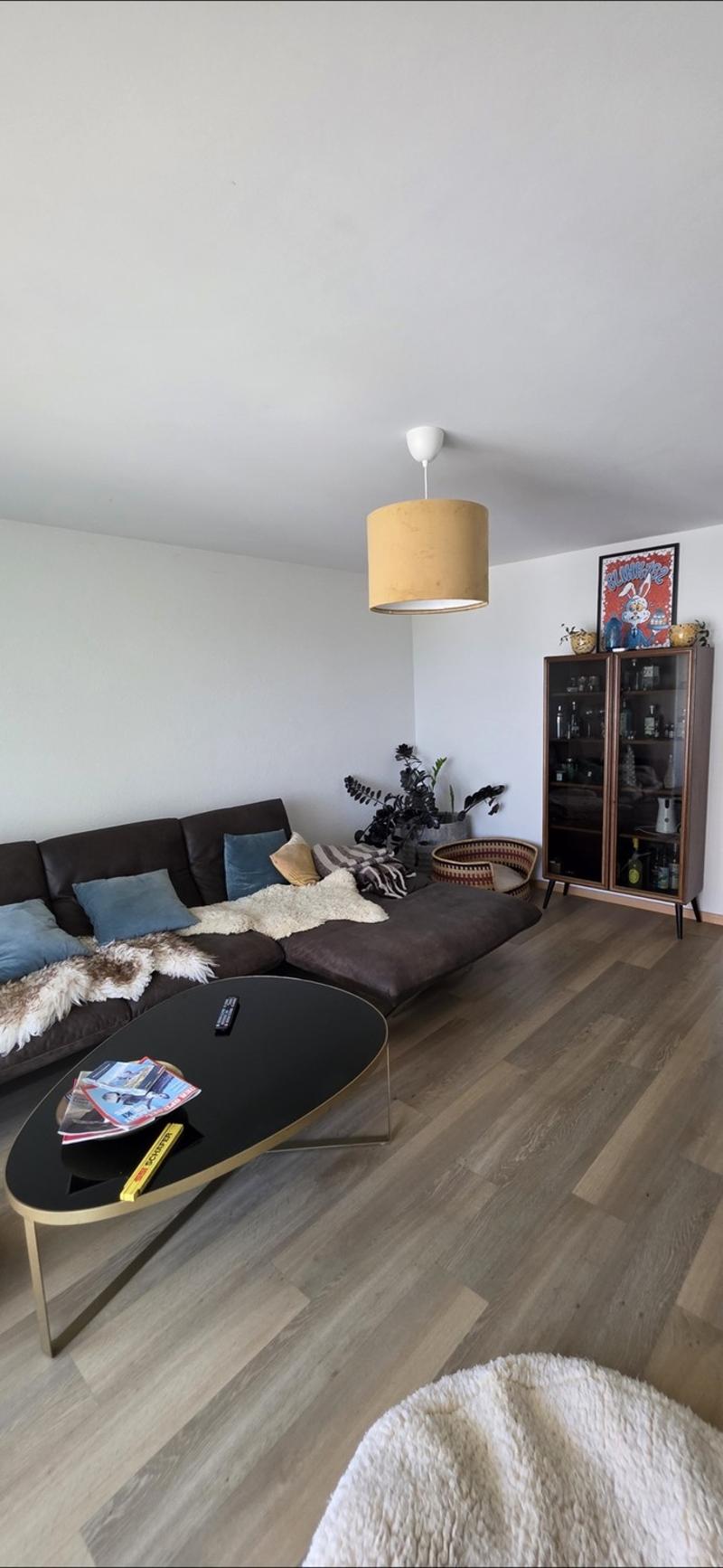 Moderne 4.5 Zimmer Wohnung mit 2 Balkonen und See&Bergblick (1)