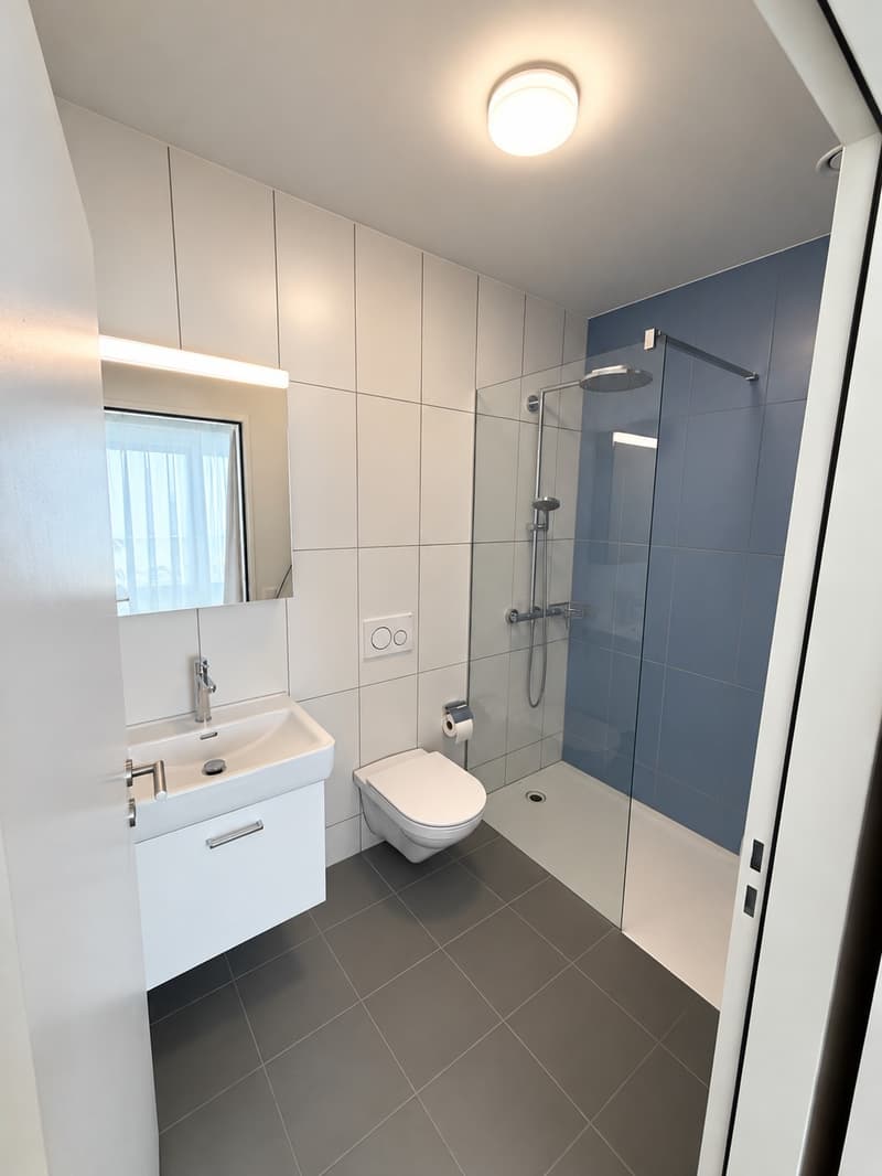 Helle 3.5-Zimmer-Wohnung im 5. OG mit Loggia und Balkon in Kriens (5)