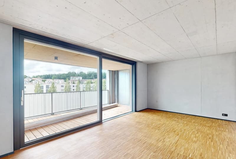 4 ½ Zimmer-Wohnung, 6020 Emmenbrücke (1)