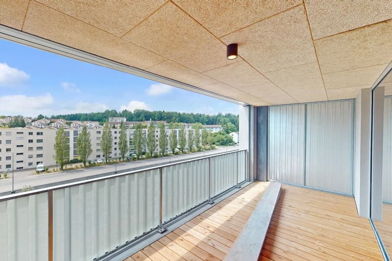 4 ½ Zimmer-Wohnung, 6020 Emmenbrücke (9)