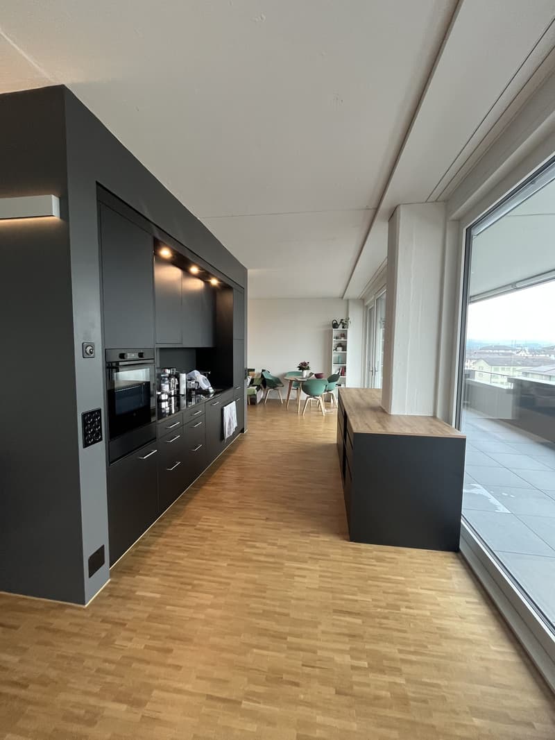 2 Zimmer-Wohnung, 6014 Luzern (6)
