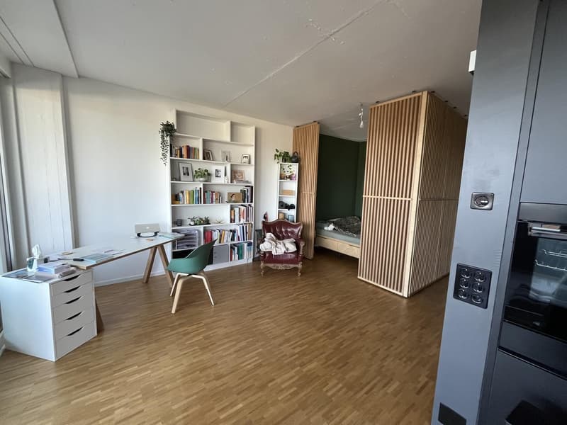 2 Zimmer-Wohnung, 6014 Luzern (7)