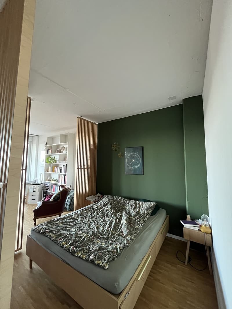 2 Zimmer-Wohnung, 6014 Luzern (8)