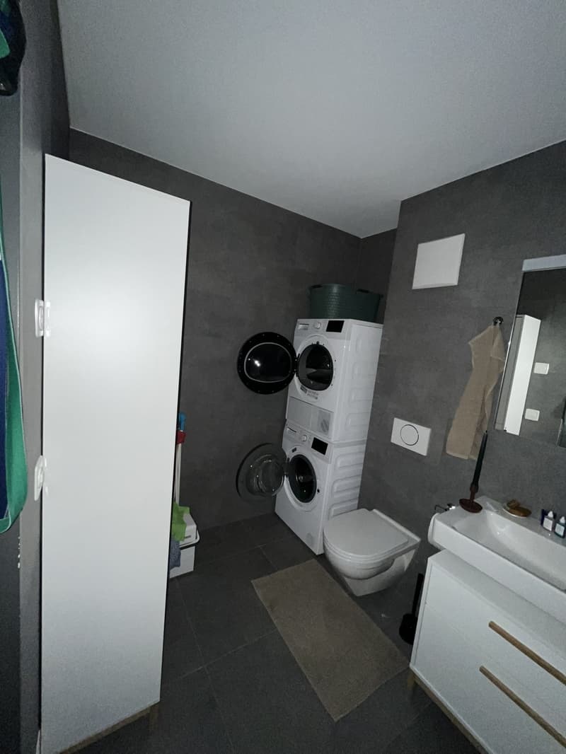 2 Zimmer-Wohnung, 6014 Luzern (10)