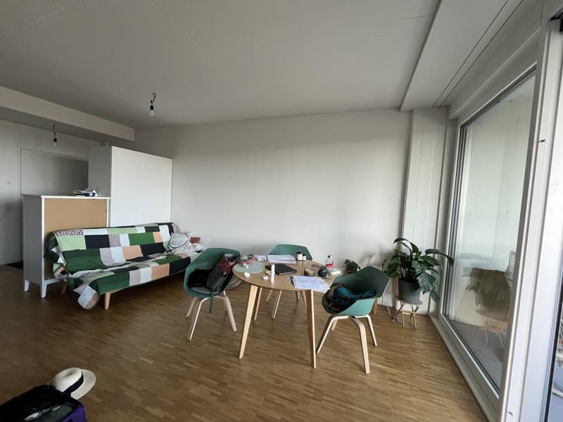 2 Zimmer-Wohnung, 6014 Luzern (4)