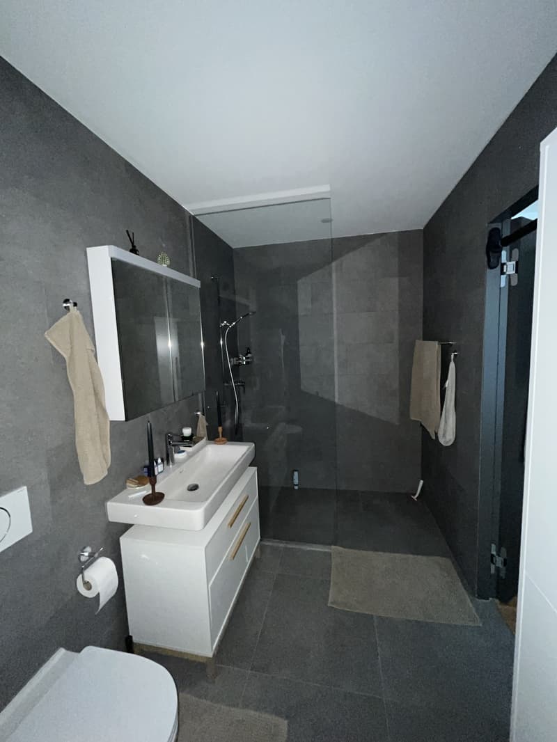 2 Zimmer-Wohnung, 6014 Luzern (11)