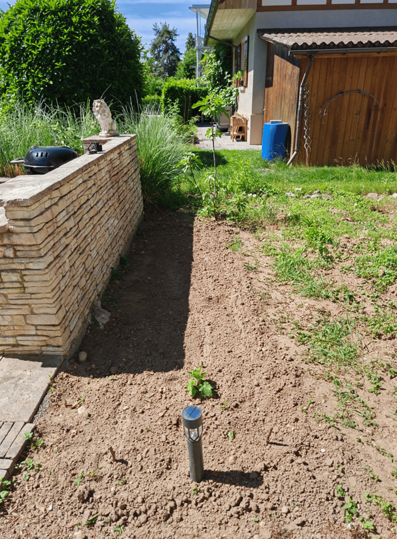 Traumhafte, möblierte 3.5-Zimmer-Oase in Lyss mit riesigem Garten (April September 2027) (4)
