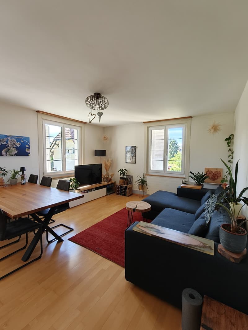 Traumhafte, möblierte 3.5-Zimmer-Oase in Lyss mit riesigem Garten (April September 2027) (10)