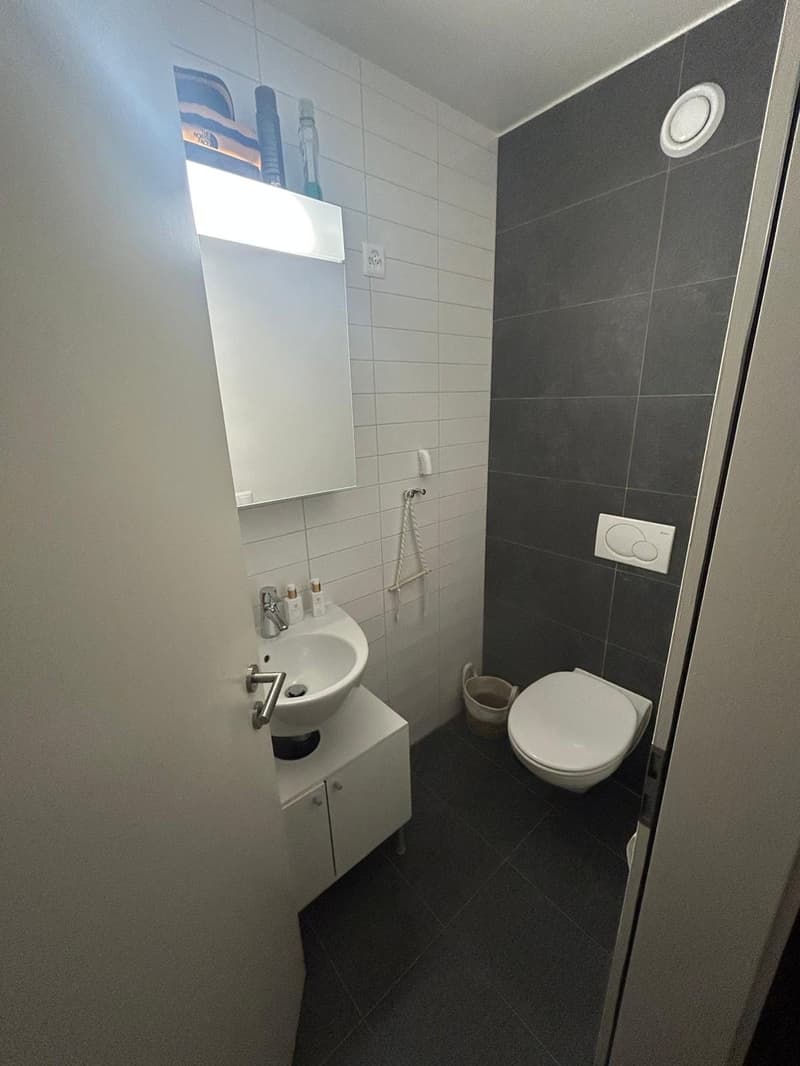 Appartement 3,5 pièces à Bulle (10)