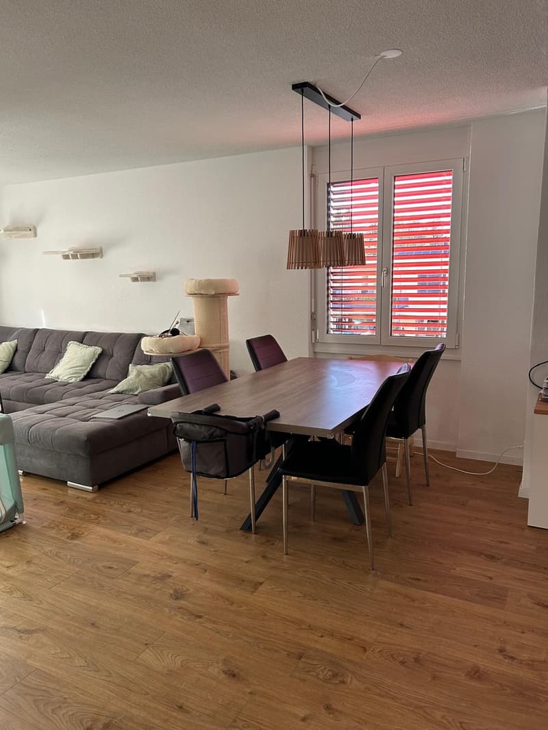 3.5 Zimmer Wohnung in Sargans (5)