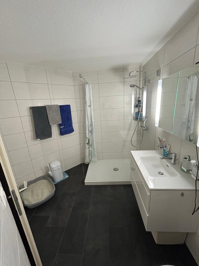 3.5 Zimmer Wohnung in Sargans (7)
