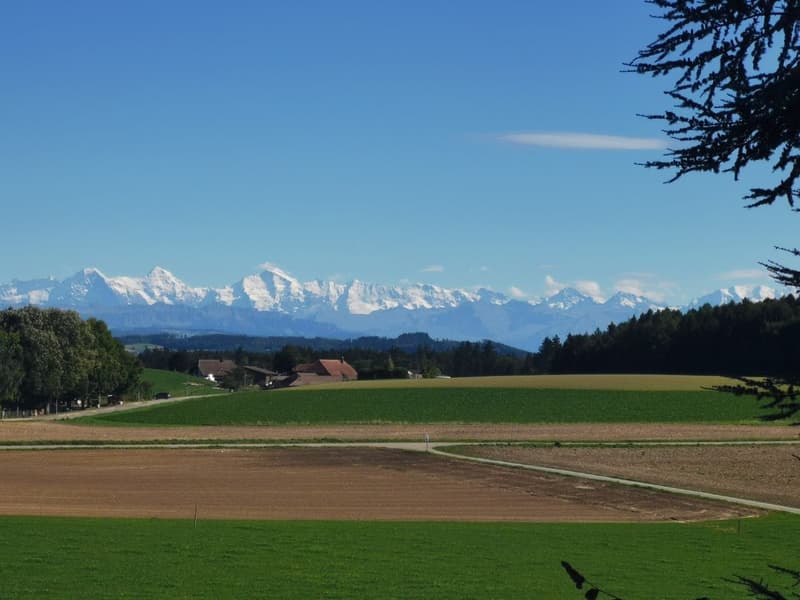 Schön wohnen im Grünen - ruhig, friedlich und in 20min in Bern (2)