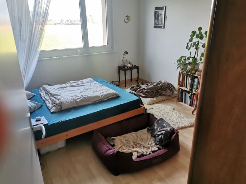 Schön wohnen im Grünen - ruhig, friedlich und in 20min in Bern (11)