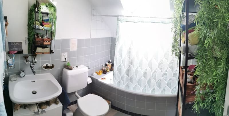 Schön wohnen im Grünen - ruhig, friedlich und in 20min in Bern (13)