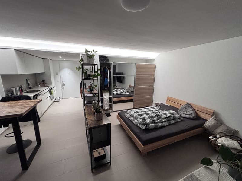 Wohnung/ Loft zu vermieten (4)