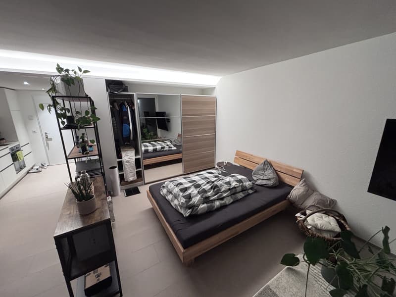 Wohnung/ Loft zu vermieten (3)