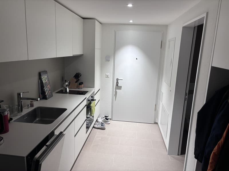 Wohnung/ Loft zu vermieten (7)