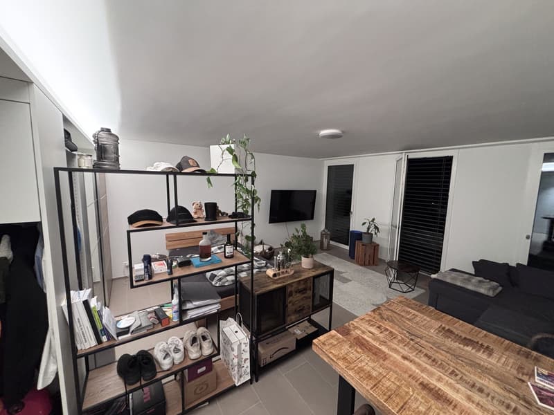 Wohnung/ Loft zu vermieten (5)