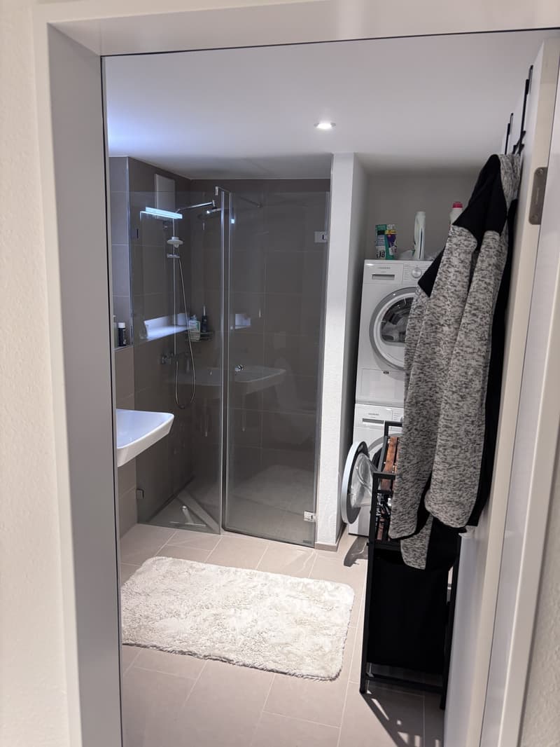 Wohnung/ Loft zu vermieten (6)