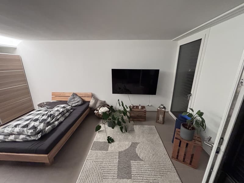 Wohnung/ Loft zu vermieten (2)