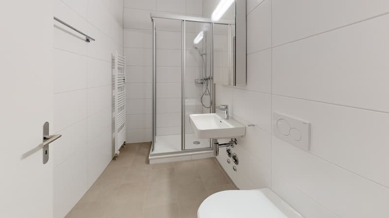 2.5-Zimmer-Wohnung im Herzen von Luzern (7)