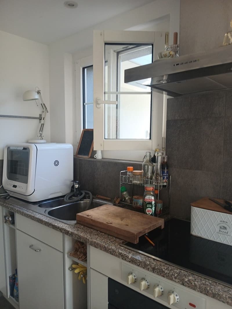 2,5 Zi-Maisonette-Wohnung mit eigener Dachterrasse (3)