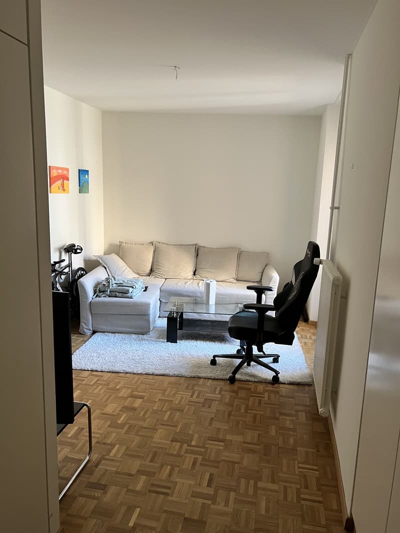 Room available in a shared apartment  Bel-Air, Lausanne (city centre) (3)