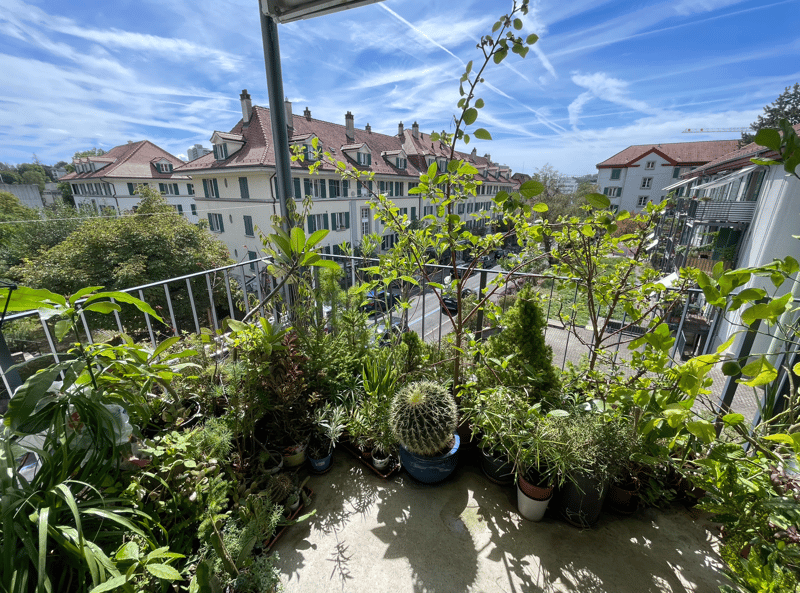 2 rooms apartment, 3012 Bern (2)